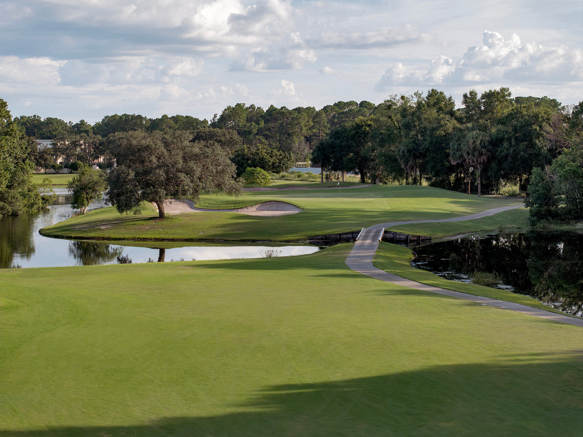 2450564 :: Giclée Fine Art Matte Paper Print