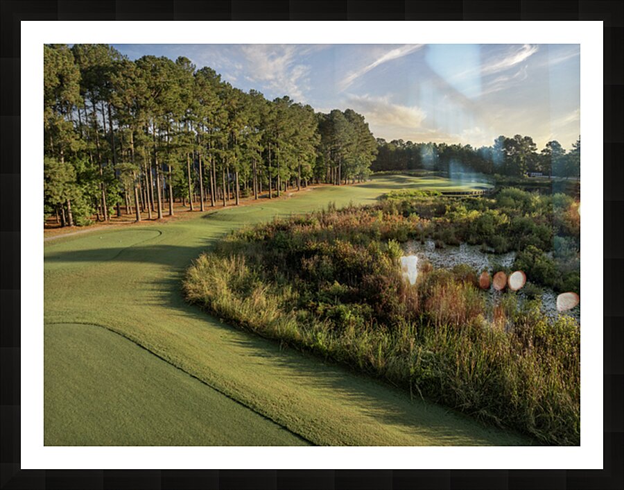 2476261 :: Framed Print