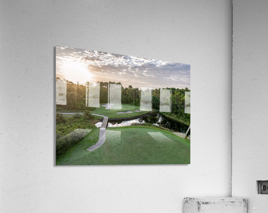 2450574 :: Acrylic Print