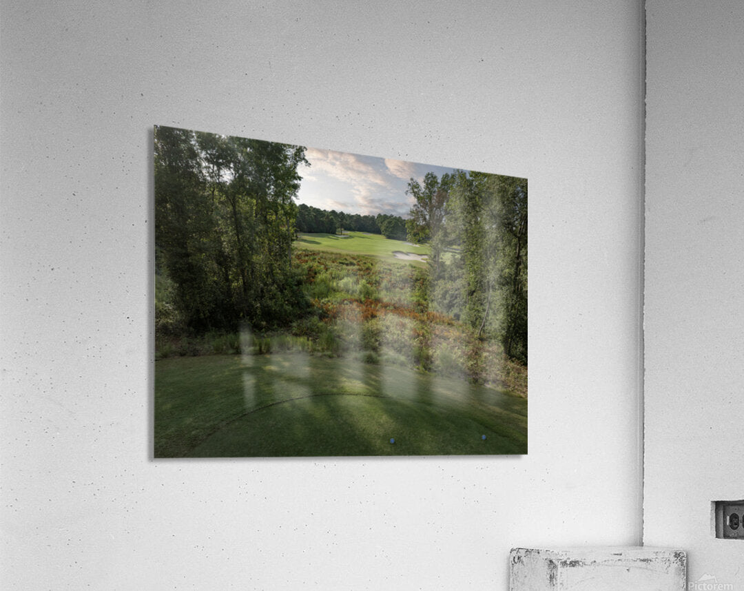 2476259 :: Acrylic Print