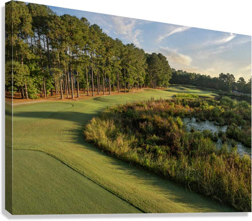 2476261 :: Giclée Stretched Canvas Print