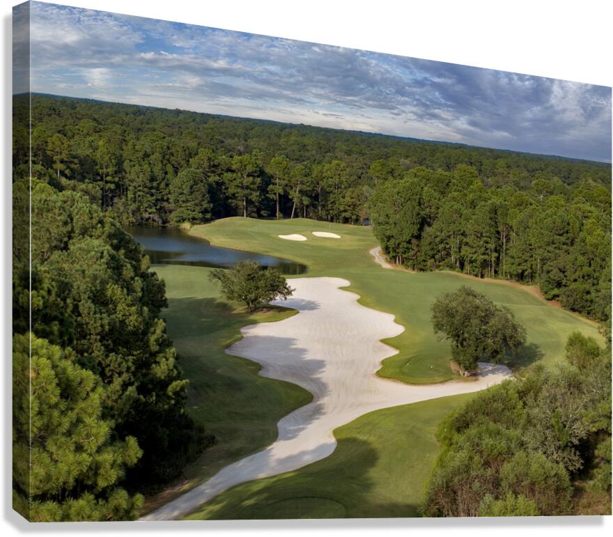 2476263 :: Giclée Stretched Canvas Print