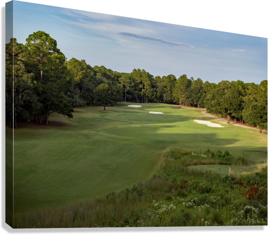 2476279 :: Giclée Stretched Canvas Print