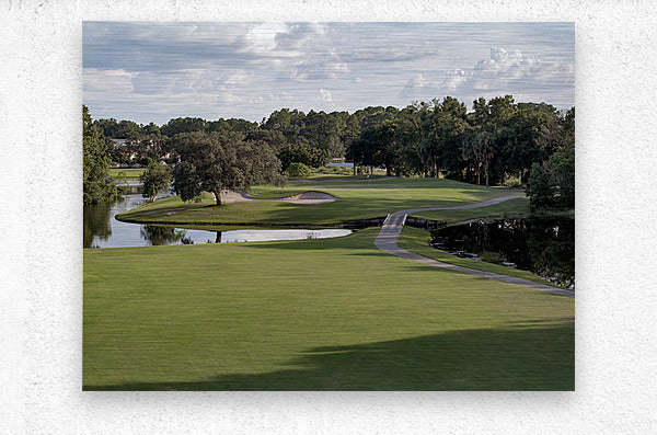 2450564 :: Brushed Metal Print