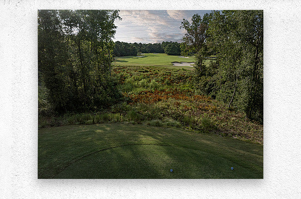 2476259 :: Brushed Metal Print