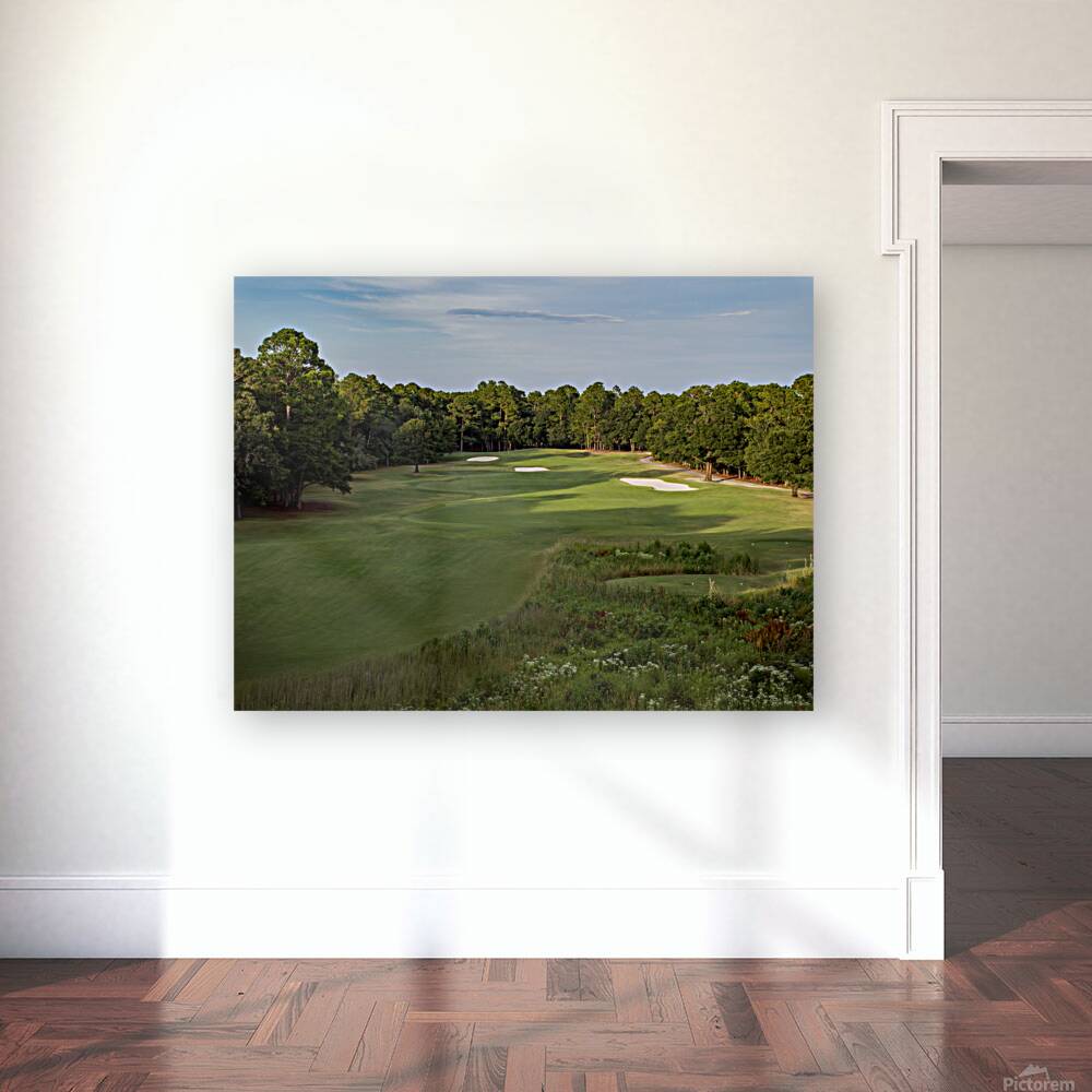 2476279 :: Giclée Stretched Canvas Print