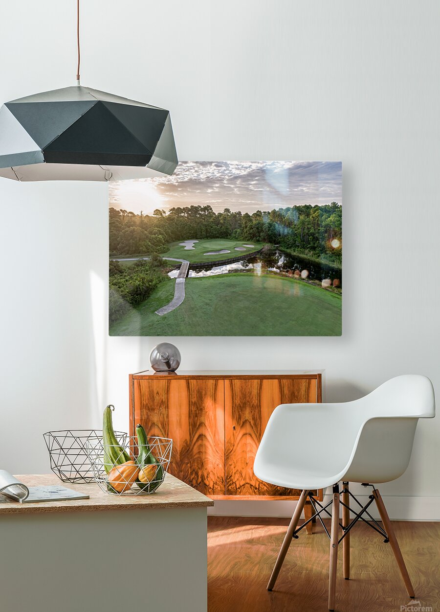 2450574 :: HD Sublimation Metal Print