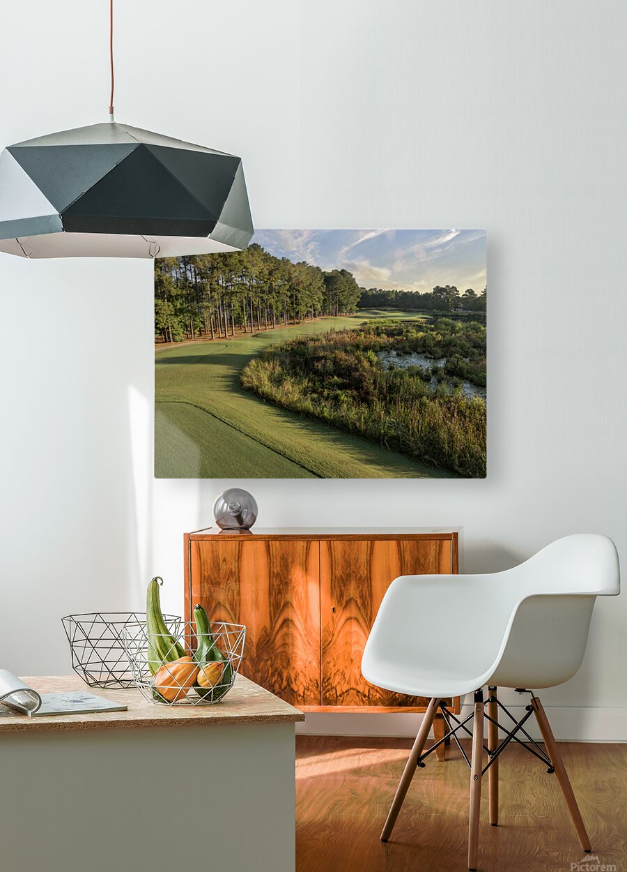 2476261 :: HD Sublimation Metal Print