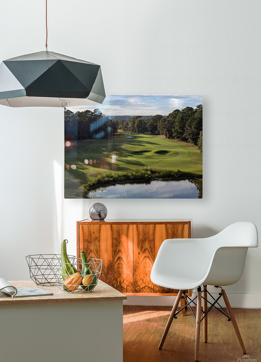 2476262 :: HD Sublimation Metal Print