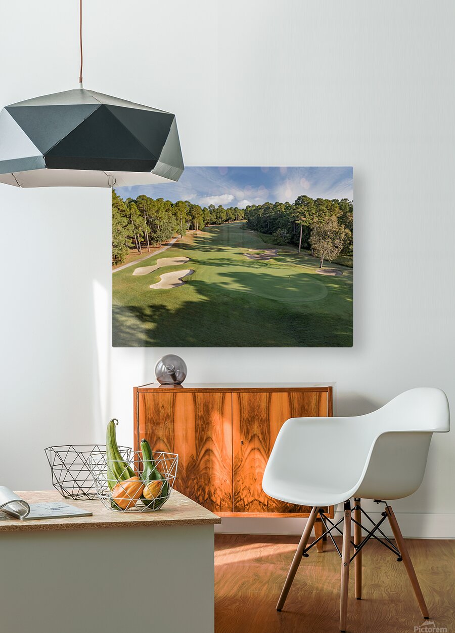 2476264 :: HD Sublimation Metal Print