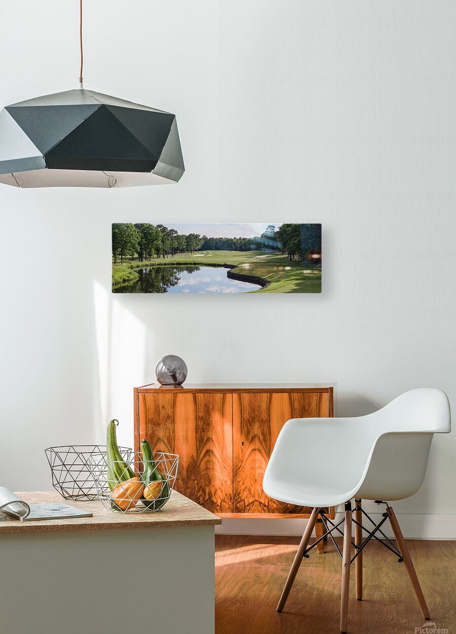 2543562 :: HD Sublimation Metal Print