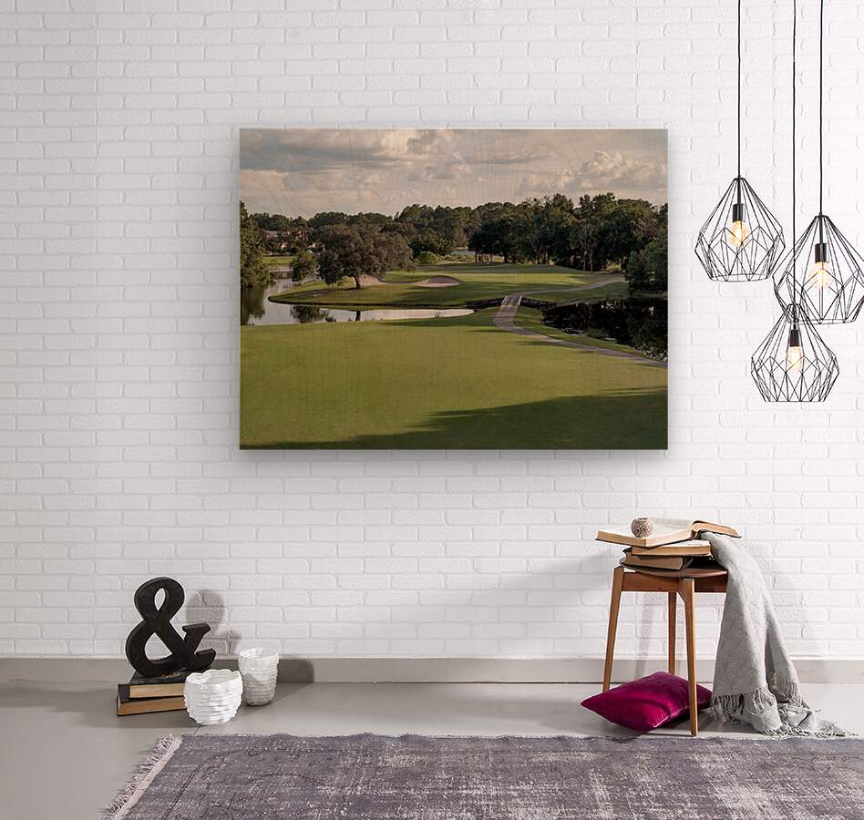 2450564 :: Wood Print