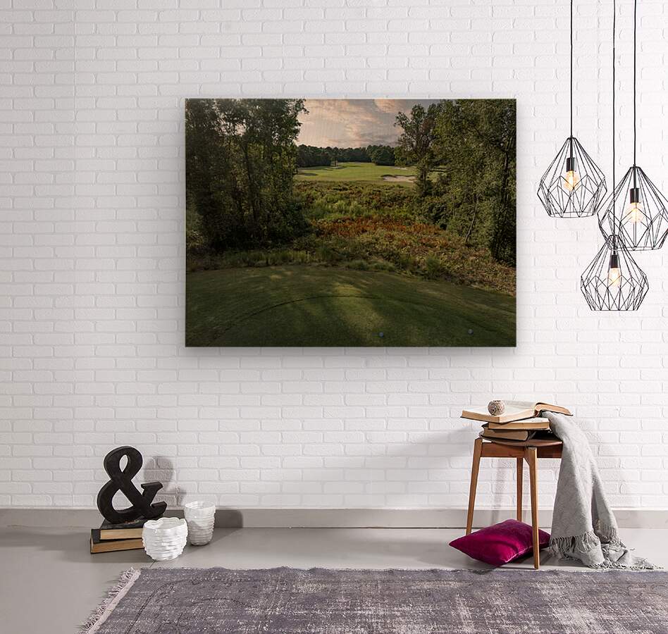 2476259 :: Wood Print