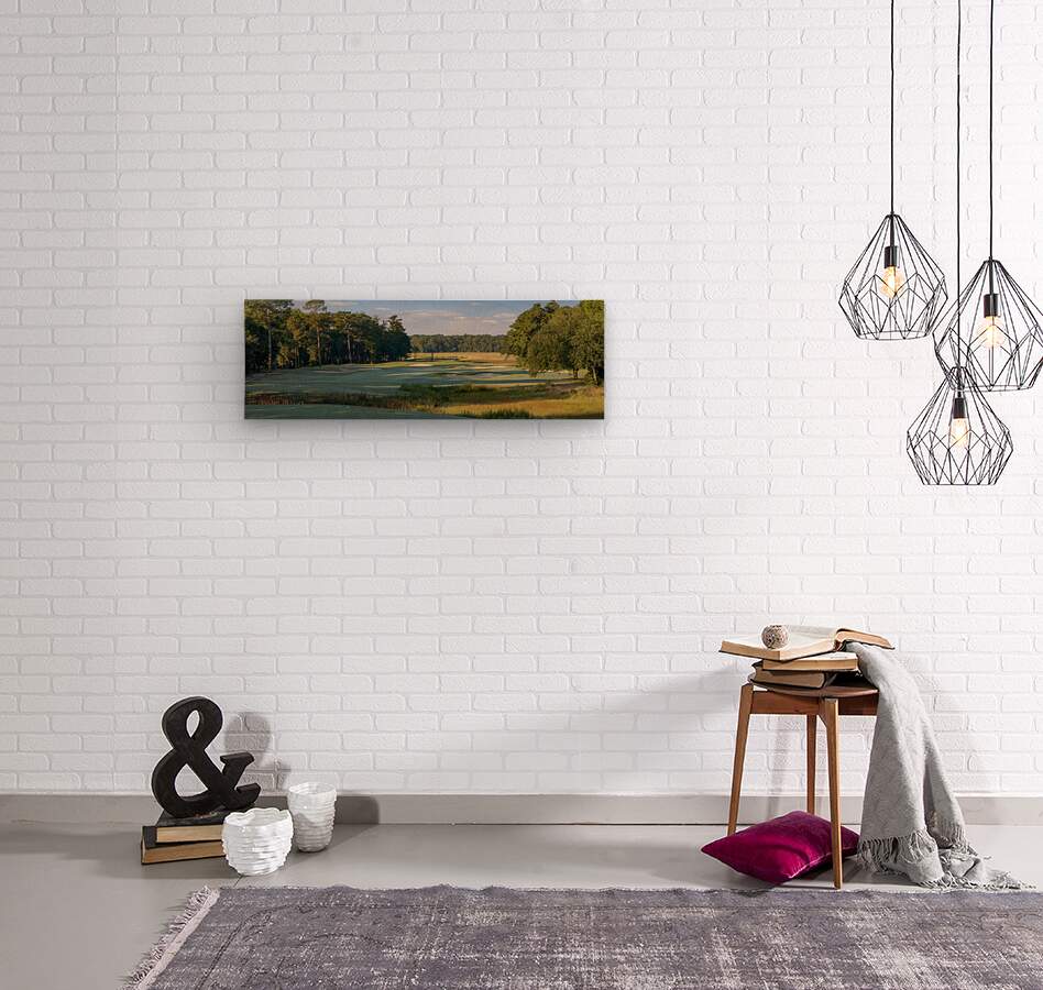 2476260 :: Wood Print