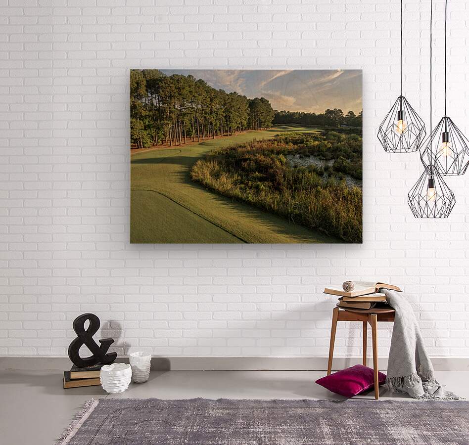 2476261 :: Wood Print