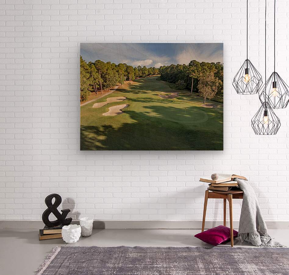 2476264 :: Wood Print