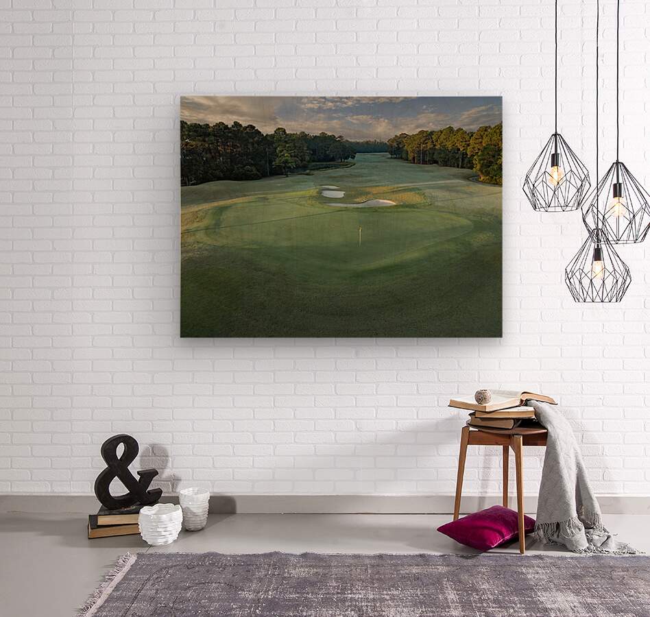 2476267 :: Wood Print