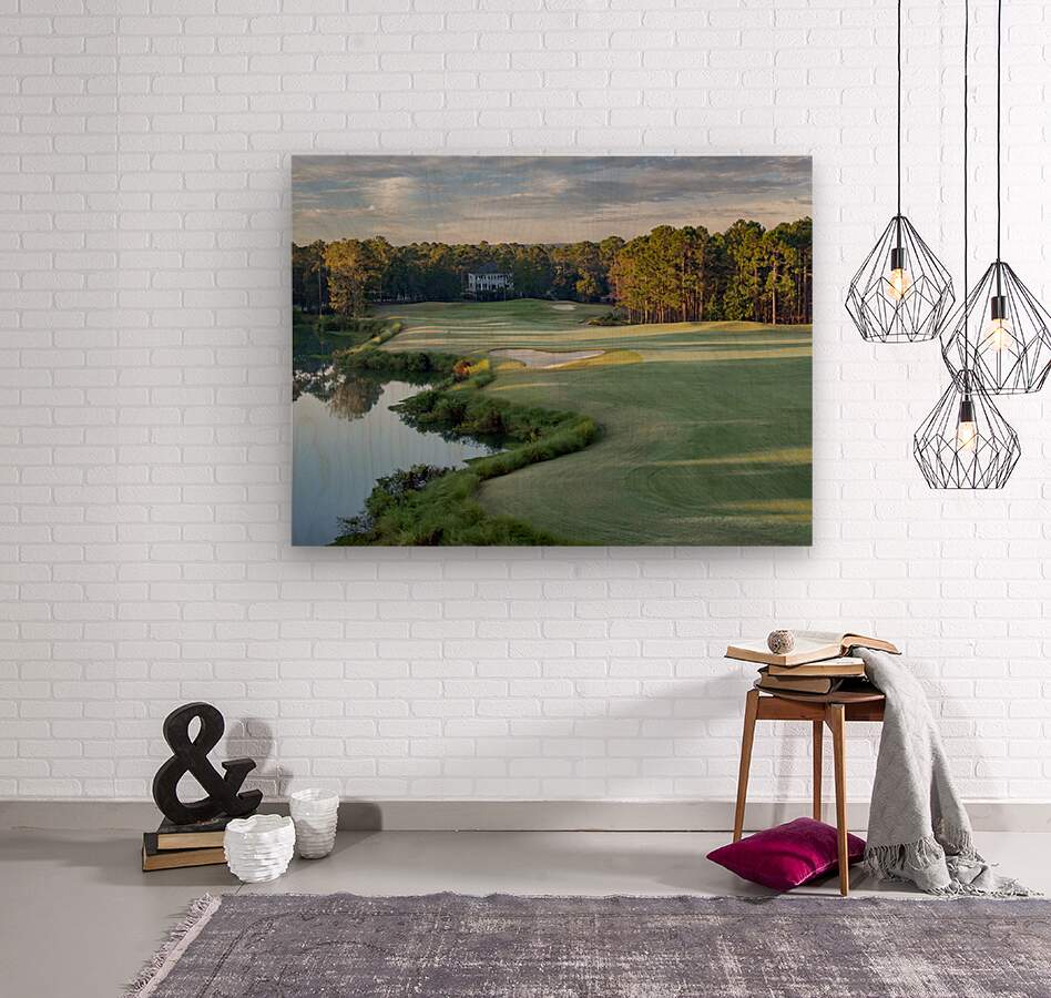 2476272 :: Wood Print