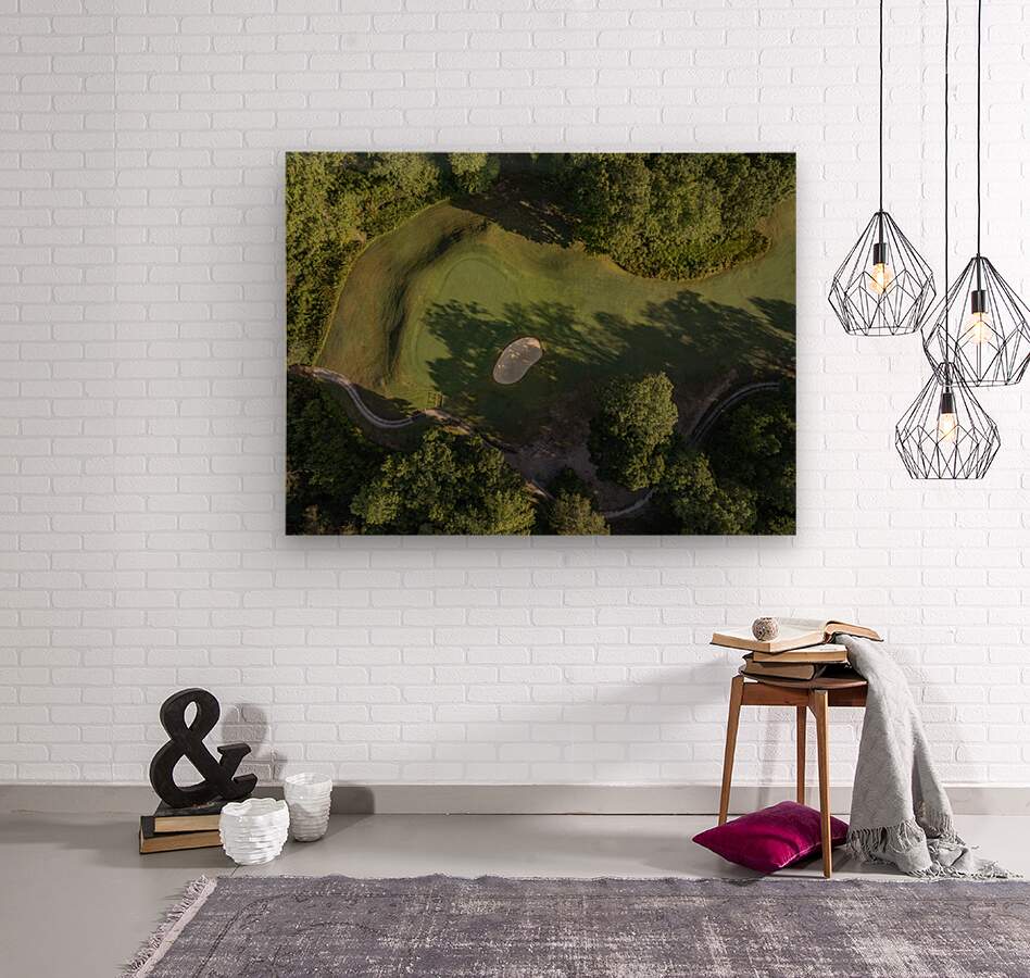 2476275 :: Wood Print