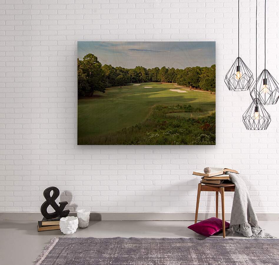 2476279 :: Wood Print