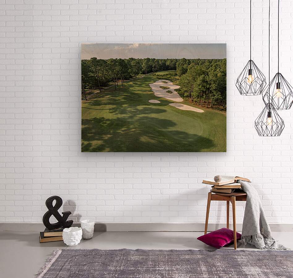 2476281 :: Wood Print