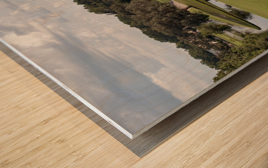 2450564 :: Wood Print