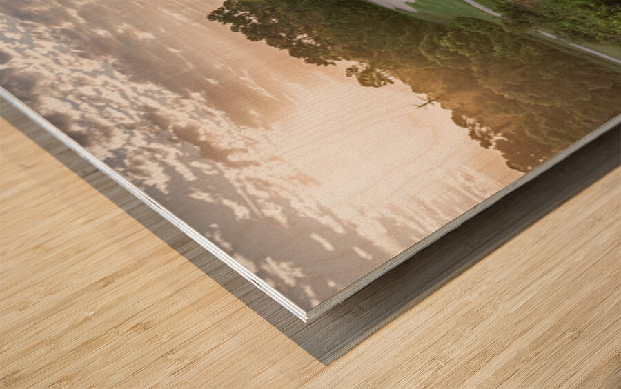 2450574 :: Wood Print