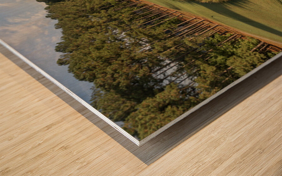 2476261 :: Wood Print