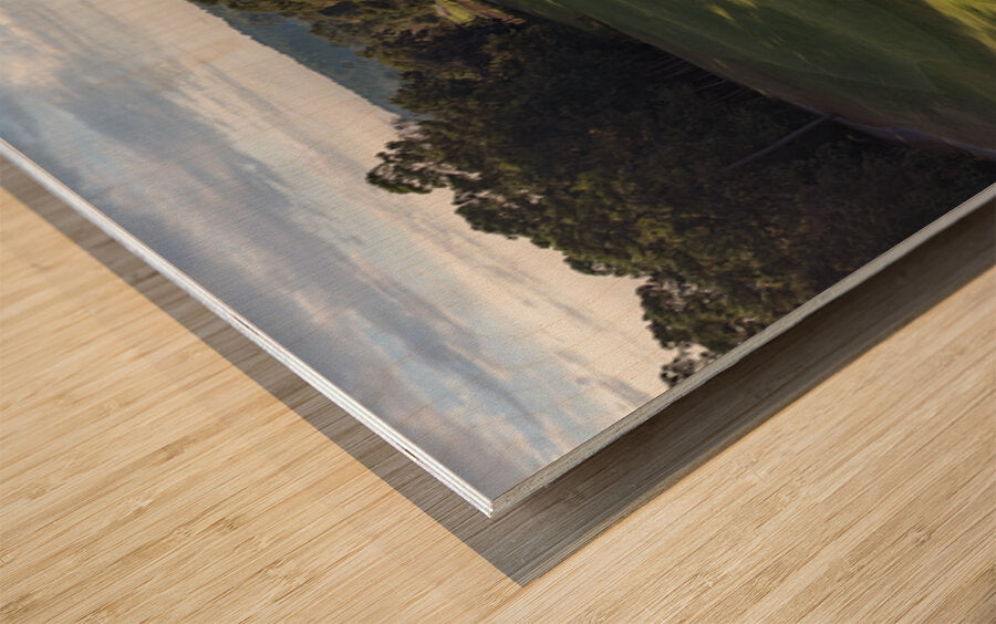 2476262 :: Wood Print