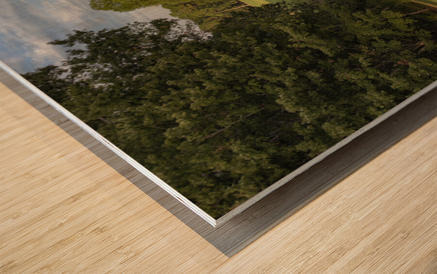 2476265 :: Wood Print