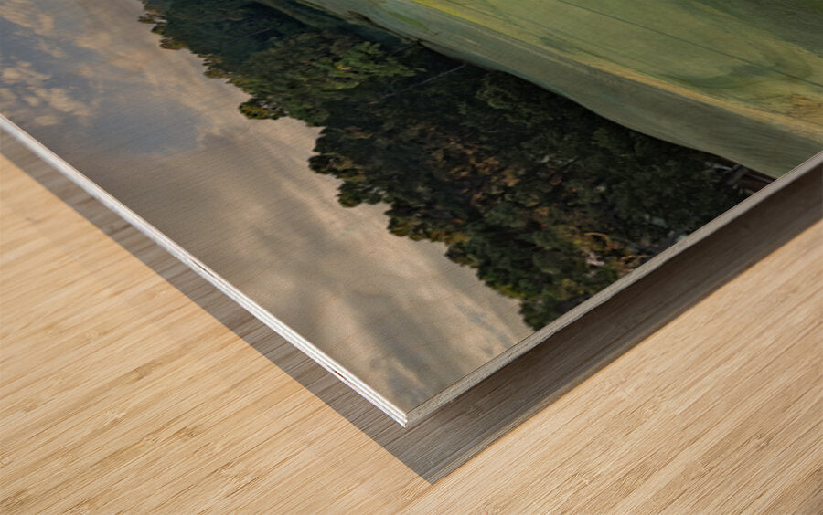 2476267 :: Wood Print