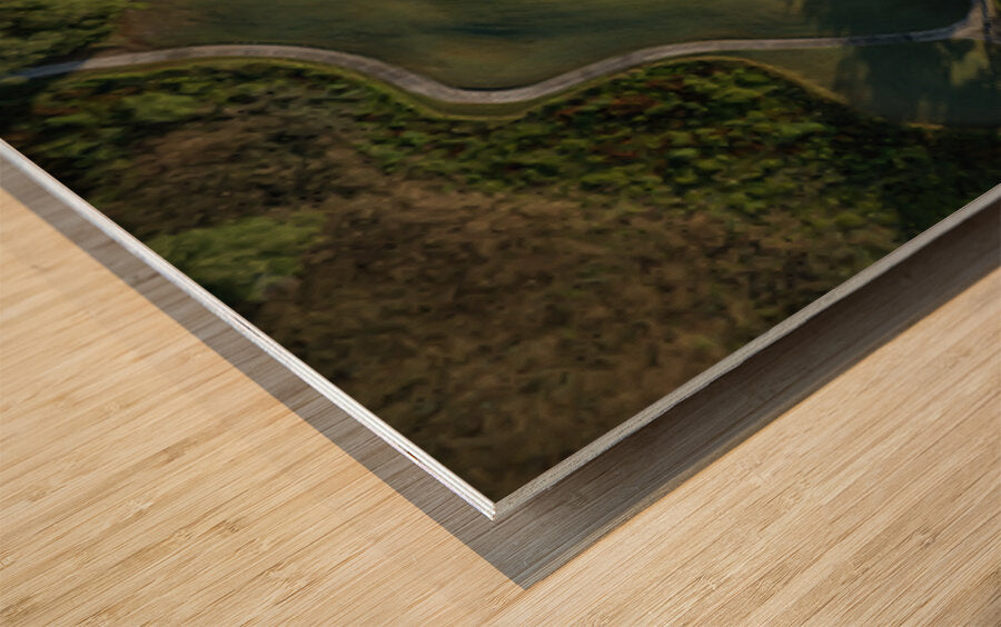 2476268 :: Wood Print