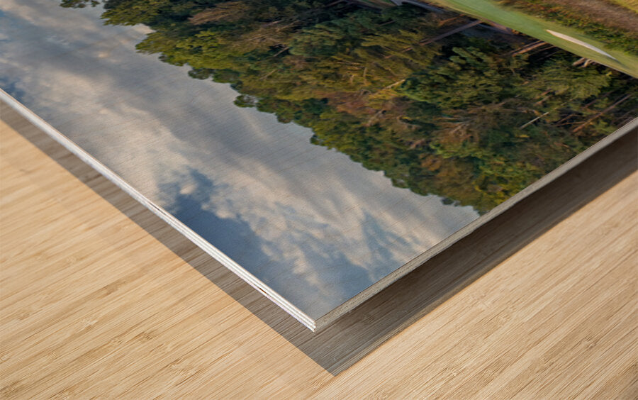 2476269 :: Wood Print