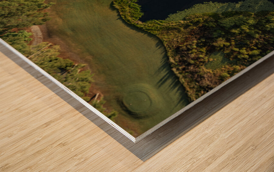 2476273 :: Wood Print