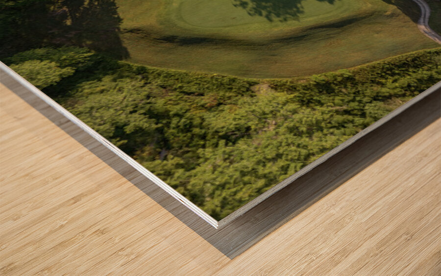 2476275 :: Wood Print