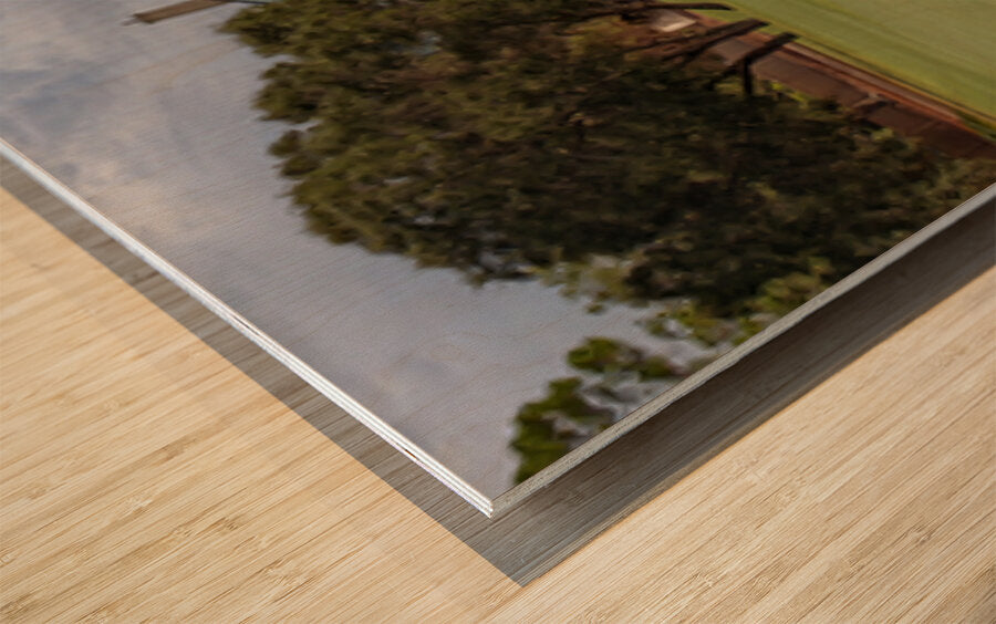 2476276 :: Wood Print