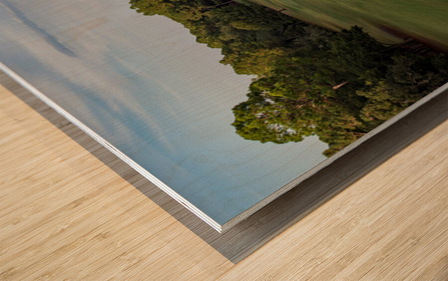 2476279 :: Wood Print