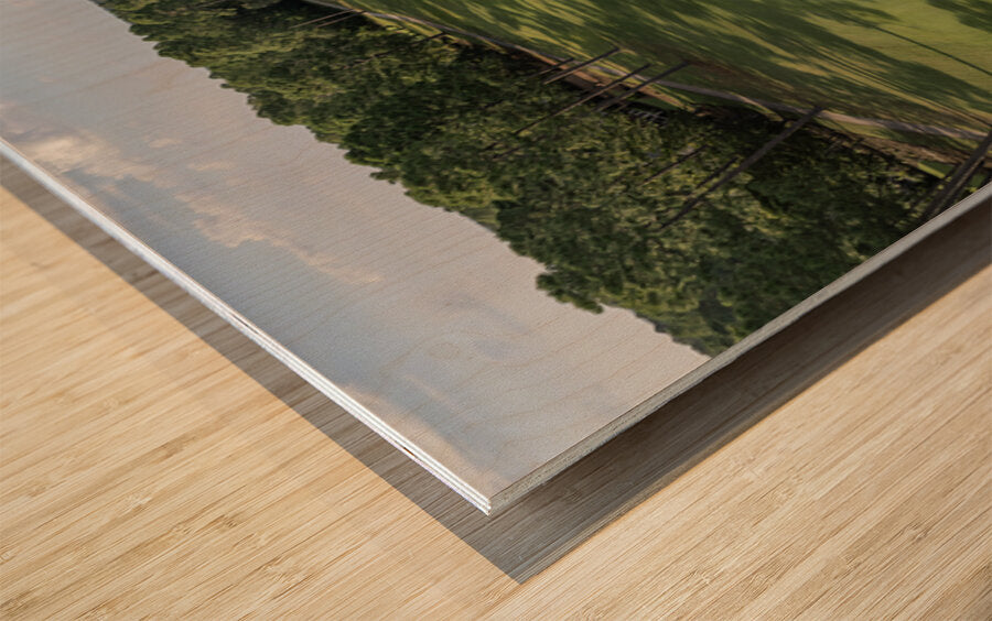 2476281 :: Wood Print