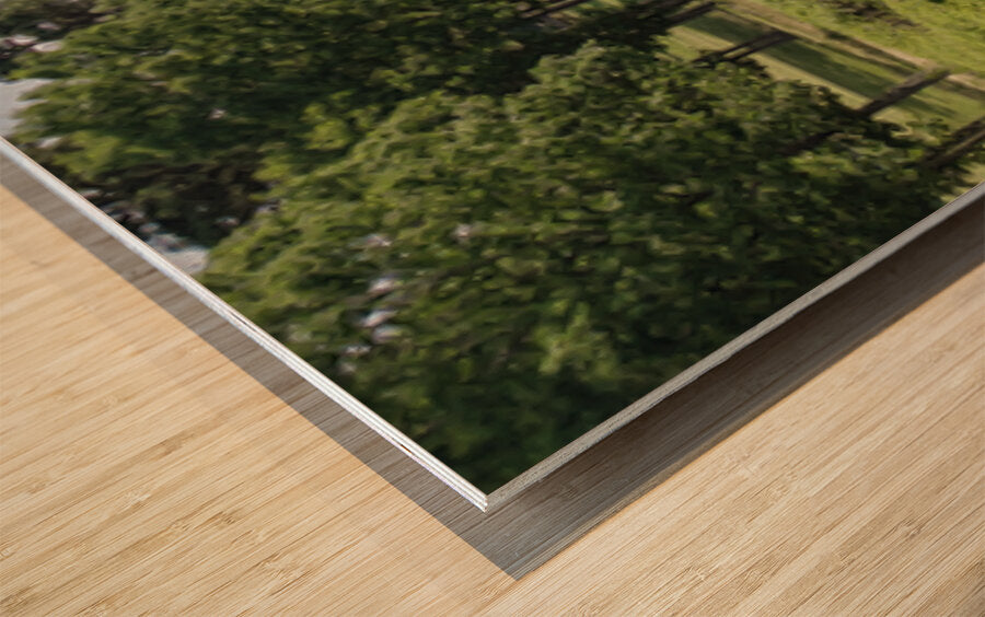 2543562 :: Wood Print