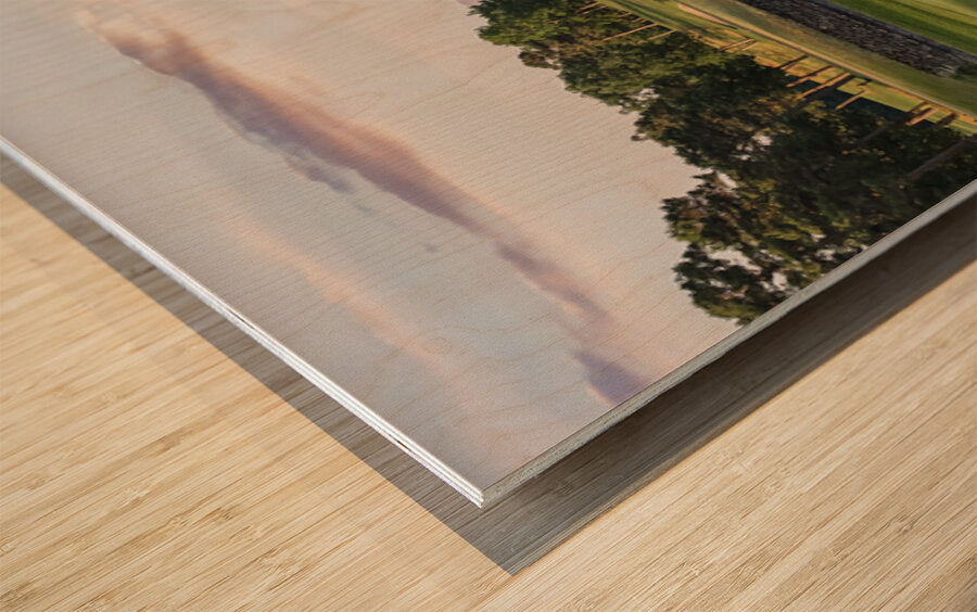 2543563 :: Wood Print